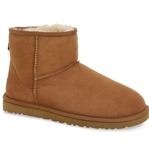 Mini Chestnut Uggs, size 8, worn